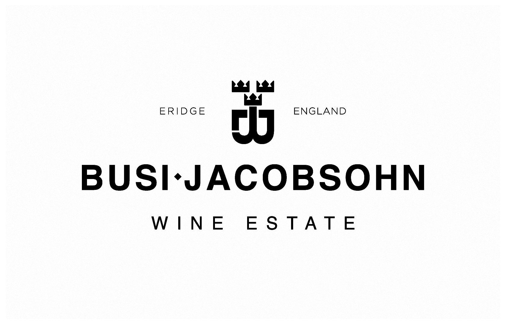 Busi Logo Black