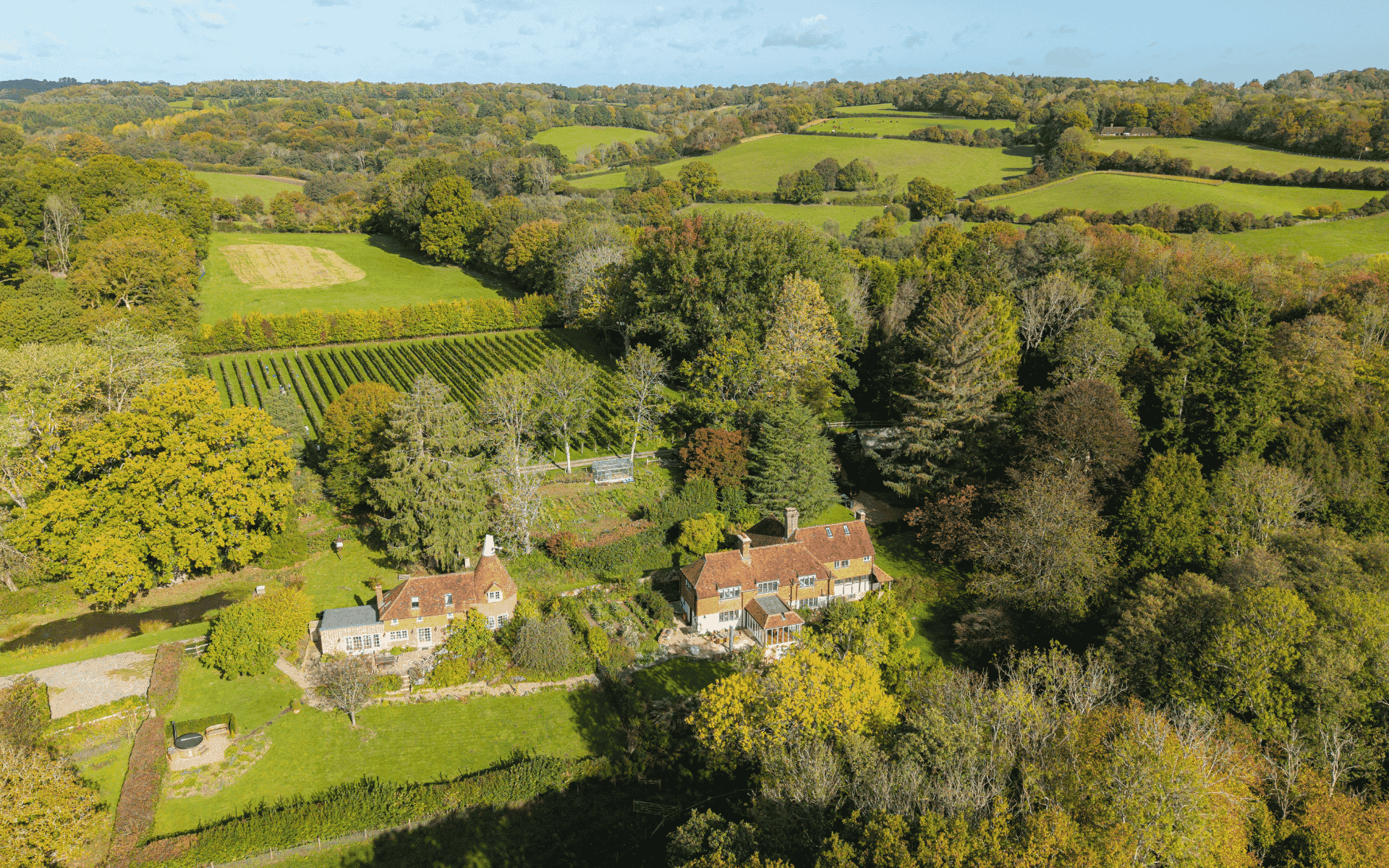 Mousehall Vineyard