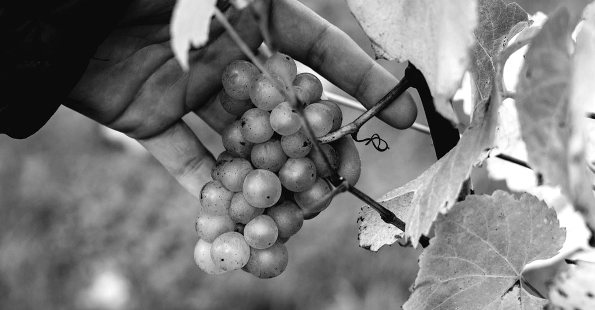 Tilsmore Event 2 Header Image