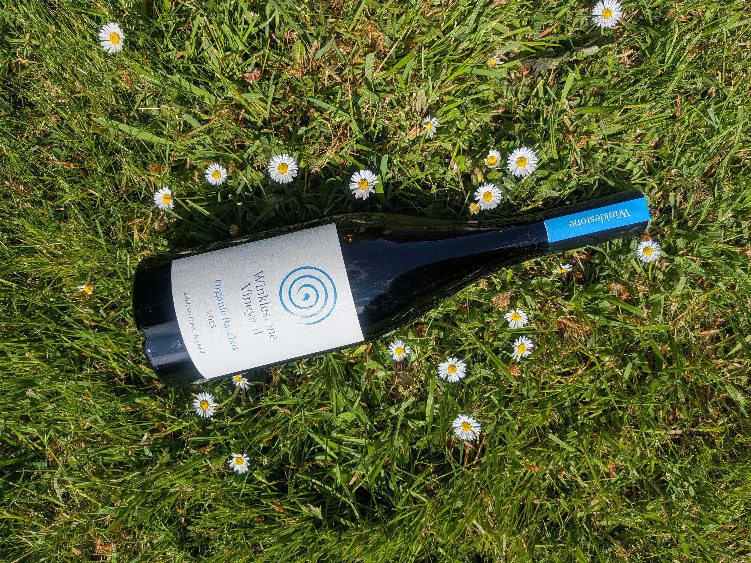 Winklestone Vineyard