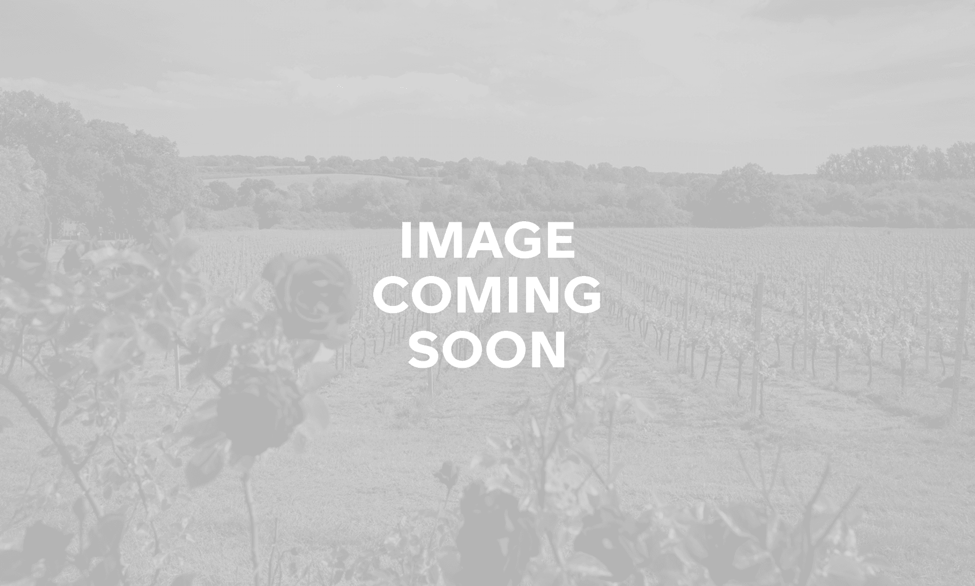 2399.1 Sw Web Image Placeholder