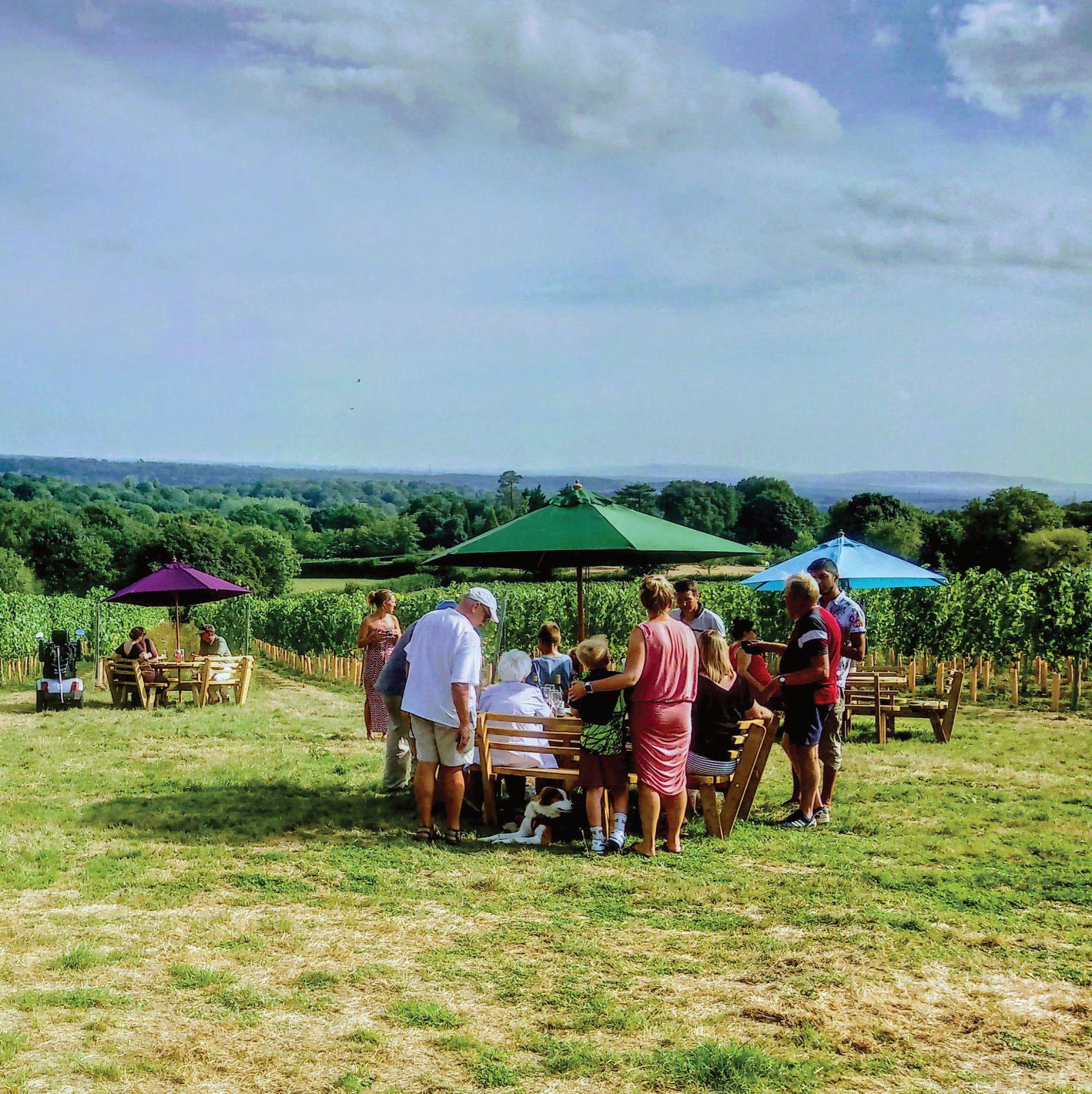 Beacon Down Event 1 Header Image.jpg