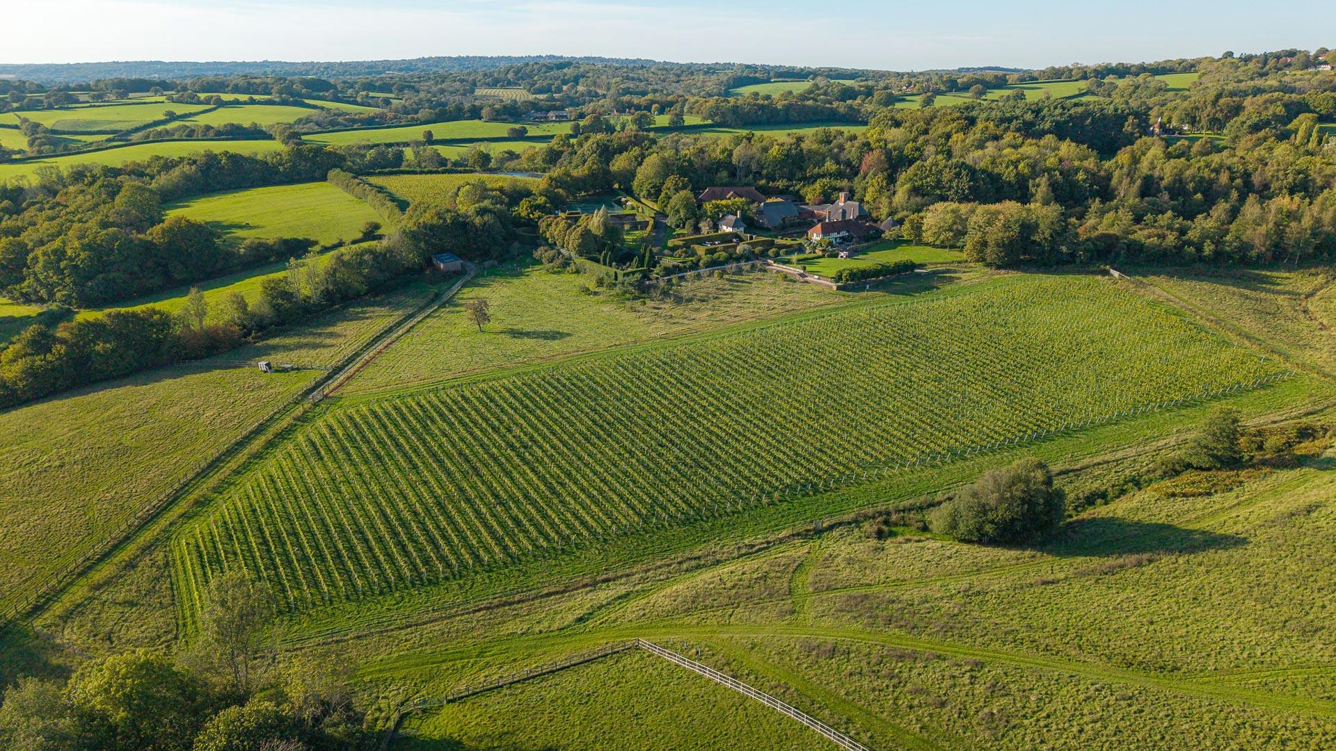 Coes Farm Hero Image
